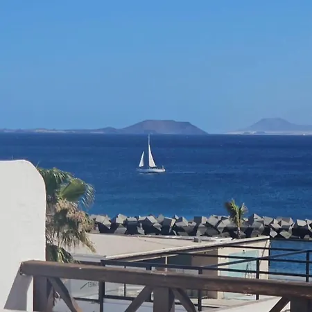 Vista Lobos Flamingo *